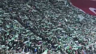 Bursaspor Tribünlerinden Resital  #bursaspor #teksas #Timsaharena #bursa #birşarkısınsen