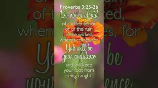 Proverbs 3:25-26