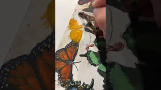 Painting a Orange Emigrant Butterfly #art #butterfly #watercolorpainting  #australia #shorts