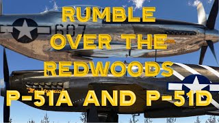 P-51 Mustangs [4K] At Rumble Over the Redwoods Airshow 2024