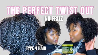 THE PERFECT TWIST OUT for Type 4 Hair| IN-DEPTH Tutorial for best results