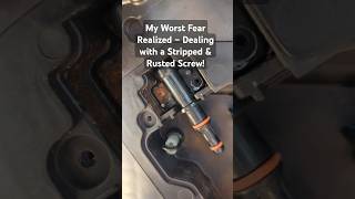 My Worst Fear Realized – Dealing with a Stripped & Rusted Screw!