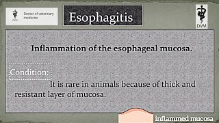 Esophagitis | Define esophagitis | esophagitis in animals | causes of esophagitis | DVM