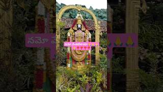 ఓం నమో వేంకటేశాయా🙏🙏❣️#lordvenkateshwara #shortsvideos #ytshorts #youtubeshorts #chagantikoteswararao