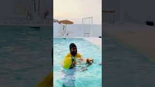 Zoya’s first swimming experience ❤️❤️#shihtzupuppies #shihtzu #doglovers #shitzulovers #petlovers #