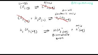 Biochemistry Lecture 3 Physiological Buffers