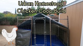 Building a Chicken Coop for Cornish Crossers on a BUDGET