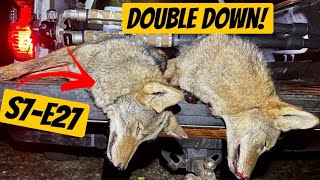 6.5 Creedmoor Coyote Hunting DOUBLE! | Season 7 - Ep. 27