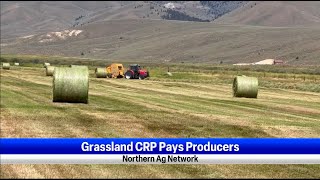 Grassland CRP Pays Producers