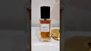 YSL Babycat | Best Vanilla Perfume Ever | You Need This! #fragrance #perfumecollection  #yslbeauty