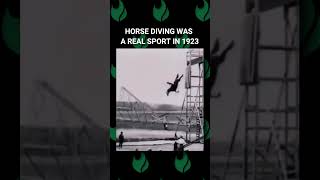 Horse Diving official sport from 100 years ago #shorts