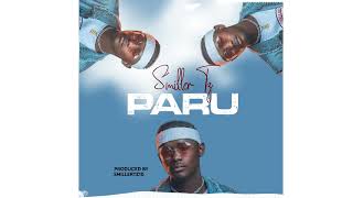 Smiller tz_-_PARU