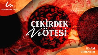 Kahvenin Yolculuğu / Çekirdek ve Ötesi