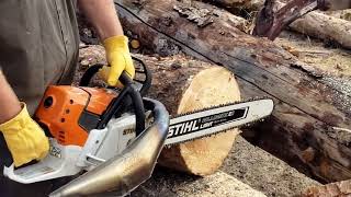 Mastermind ported Stihl ms661 with a tuned exhaust pipe let the sawdust fly