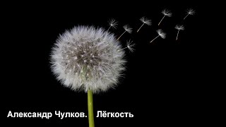 Лёгкость. Стих о любви, смысле, мудрости...