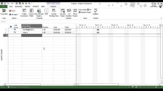 Project Planning using Microsoft Project