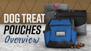 Dog Treat Pouches: Overview & Comparison