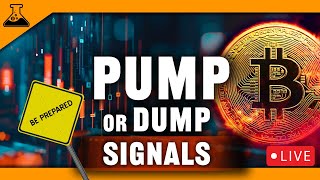 Bitcoin Pump Or Dump Next? Crypto Signals To Watch (What's Next For Altcoins)