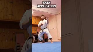 Kata Application for 1:Kumite and 2: Self defence #karate #kata #shotokan #selfdefense