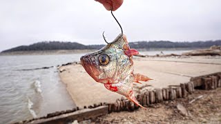 Bombing CRAPPIE HEADS To Catch GORGING GIANTS!!! (Spring Bank Fishing)