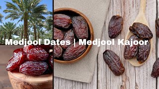 Medjool Kajoor Farming | What are Mejdool Kajoor ? | Joolies Dates | Organic Dates | Farming Book