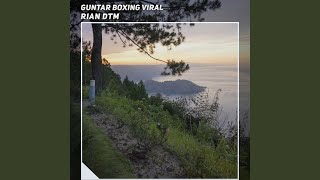 Guntar Boxing Viral