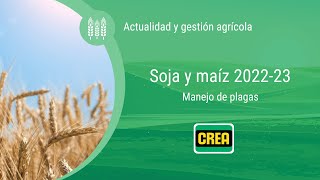 Soja y maíz 2022-23 | Manejo de plagas en campañas con restricciones