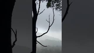 Doddabetta Peak | Ooty