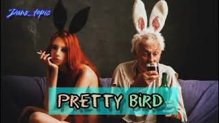 Pretty bird _ dans-topic 8/8