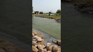 parc central de la ville de tamesna🏞️🌄منتزه مدينة تامسنا. نقاء الجو وجمال الطبيعة