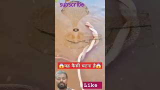 #snake #motivation #story #news #astrology #gk #महादेव #funny #shortfeed #love #amazingfacts #shorts