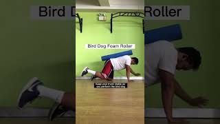 Level Up Your Bird Dog | Core Exercise for Athletes