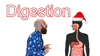 The Digestive System (Mariah Carey - All I Want for Christmas Is You parody)