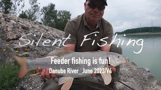 Feeder fishing is fun! Danube River_June 2023/V4  #river #feederfishing #riverfishing