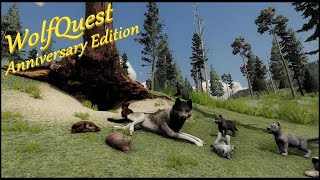 WolfQuest : Anniversary | Nos 7 louveteaux🐺