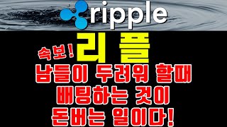 [리플] 속보! 남들이 두려워 할때 배팅하는 것이 돈버는 일이다!