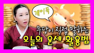 [신기한TV] 신기한티비 - ㅈㄴ 영검한 무당이 직접 밝히는 오늘의 운세 활용법! 2021년 신축년 띠별운세 띠별궁합 최고의 띠와 나이 내운 놓치지않고 받는법 막힌운 뚫는 법