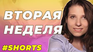 2 неделя беременности #Shorts