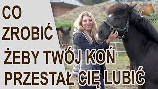 Co zrobić żeby Twój koń przestał Cię lubić