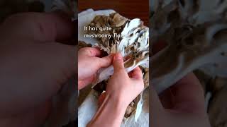 JUST TEARING MAITAKE | #shorts | Takoshiho Cooks Japan