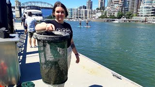 'Seabins' are taking out the trash in False Creek