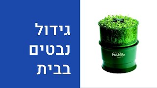 גידול נבטים בבית עם מנבטה חשמלית Fresh LIfe