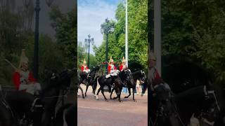 #horseguardsparade #horseguard #kingsguard #lifeguards #army #london #shorts #shortsyoutube #feed