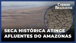 AFLUENTES DO AMAZONAS SOFREM "SITUAÇÃO CRÍTICA" DE ESCASSEZ DEVIDO À SECA HISTÓRICA