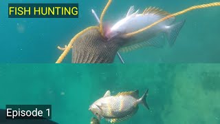 Spearfishing, Episode 1, Dapat ikan Beronang susu