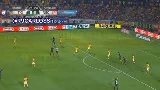 Tigres vs Necaxa mano de Carlos Salcedo no se Usa el Var