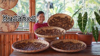 'Kusahos' An Ilonggo Way of Preserving Meat or Tapa!