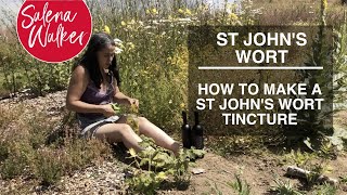 St John’s Wort - How To Make A St John’s Wort Tincture?