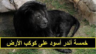 توب 5 أندر أسود حول العالم