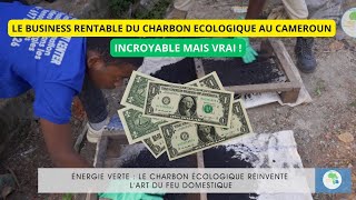 Investir au Cameroun Innovation Écologique au Cameroun : Le Charbon Vert de l'Ingénieur !